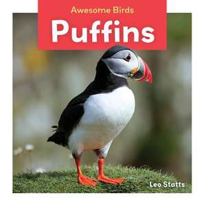 Puffins de Leo Statts