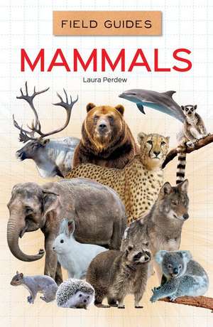 MAMMALS