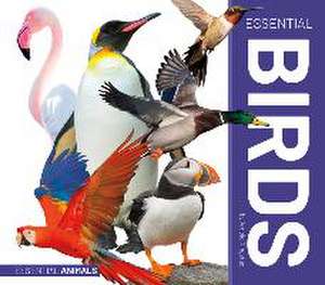 ESSENTIAL BIRDS