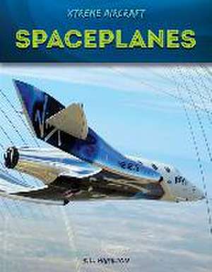 Spaceplanes de S L Hamilton