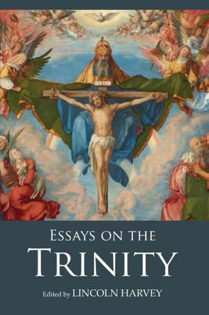 Essays on the Trinity de Lincoln Harvey