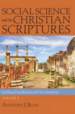 Social Science and the Christian Scriptures, Volume 2 de Anthony J. Blasi