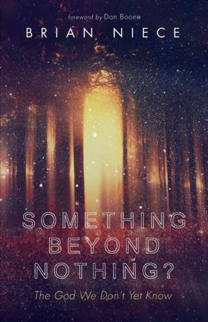 Something Beyond Nothing? de Brian Niece