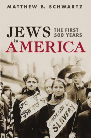 Jews in America de Matthew B. Schwartz