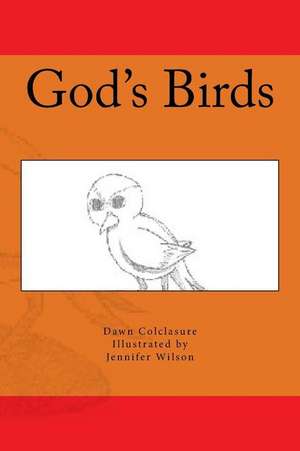 God's Birds de Dawn Colclasure