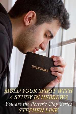 Mold Your Spirit with a Study in Hebrews de Stephen Link