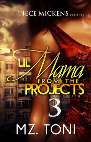 Lil Mama from the Projects 3 de Mz Toni