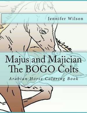 Majus and Majician Twin Colts Coloring Book de Jennifer Wilson