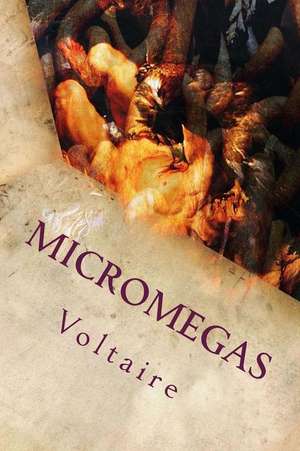 Micromegas de Voltaire