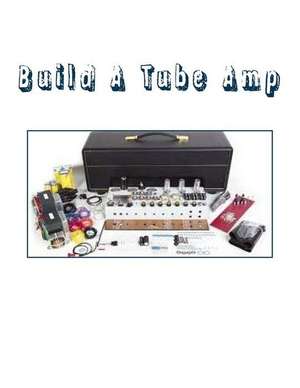 Build a Tube Amp de Sal G