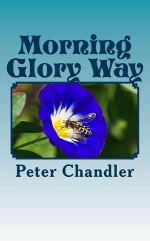 Morning Glory Way de Peter Chandler