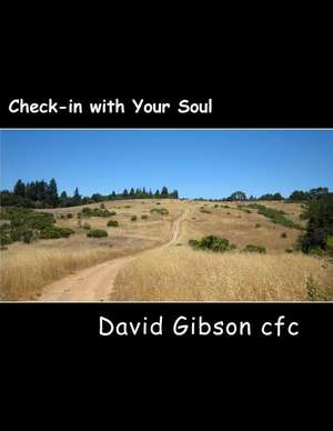 Check-In with Your Soul de Br David Gibson