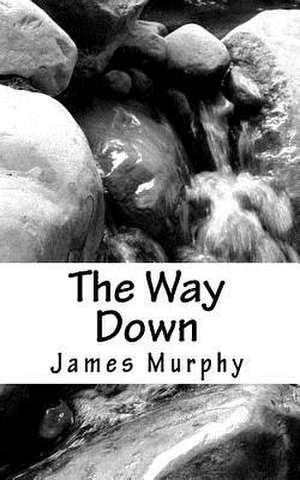 The Way Down de James Murphy