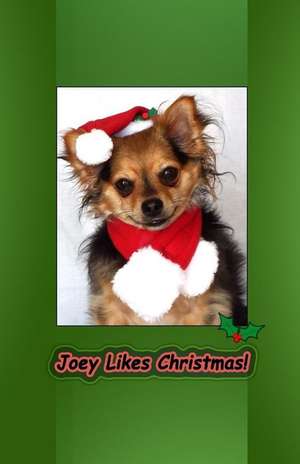 Joey Likes Christmas de Katherine M. Lord