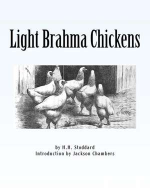 Light Brahma Chickens de H. H. Stoddard