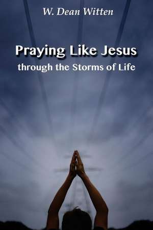 Praying Like Jesus Through the Storms of Life de W. Dean Witten