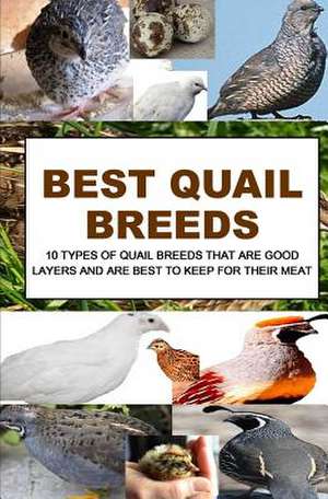 Best Quail Breeds de F. Otieno