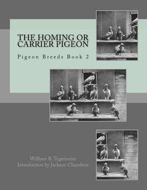 The Homing or Carrier Pigeon de William B. Tegetmeier