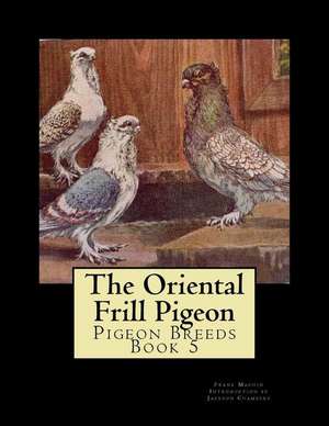 The Oriental Frill Pigeon de Frank Machin