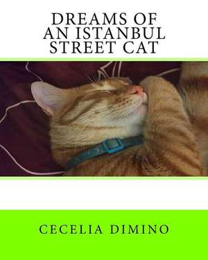 Dreams of an Istanbul Street Cat de Cecelia Dimino