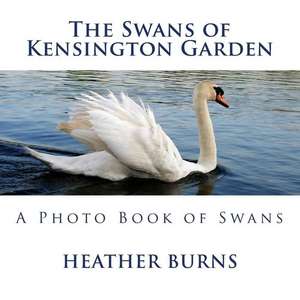 The Swans of Kensington Garden de Heather Burns