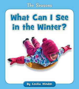 What Can I See in the Winter? de Cecilia Minden