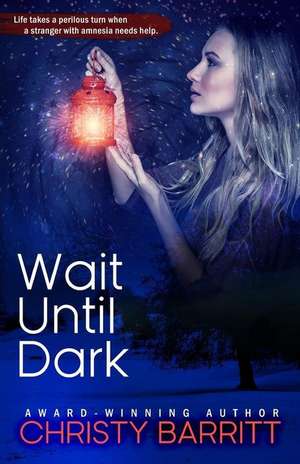 Wait Until Dark de Christy Barritt