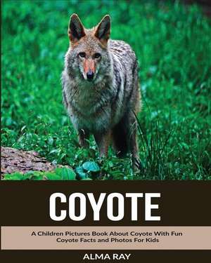 Coyote de Alma Ray