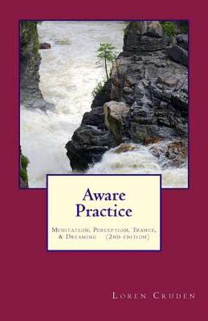 Aware Practice de Loren Cruden