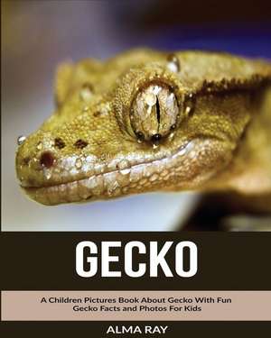 Gecko de Alma Ray