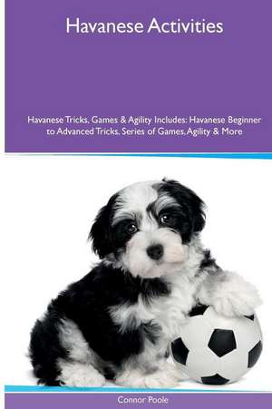 Havanese Activities Havanese Tricks, Games & Agility. Includes de Connor Poole