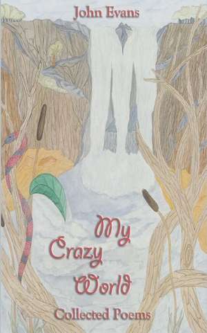 My Crazy World de John Evans