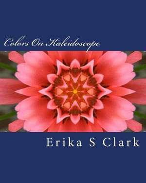 Colors on Kaleidoscope de Erika S. Clark