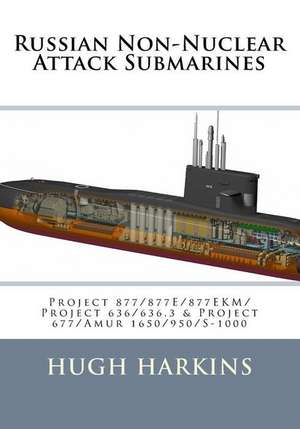 Russian Non-Nuclear Attack Submarines de Hugh Harkins