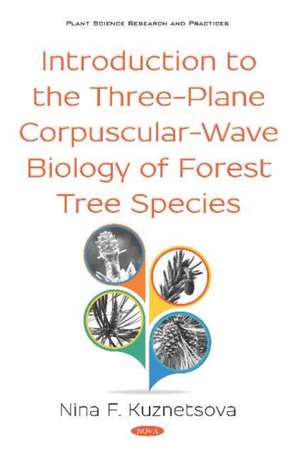 Kuznetsova, N: Introduction to the Three-Plane Corpuscular-W de Nina Fedorovna Kuznetsova