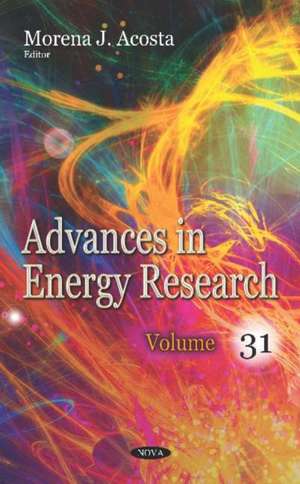 Advances in Energy Research. Volume 31