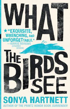 What the Birds See de Sonya Hartnett