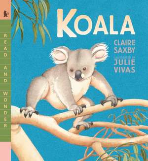 Koala de Claire Saxby