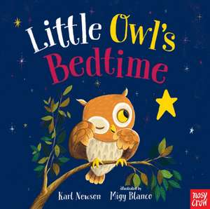 Little Owl's Bedtime de Karl Newson