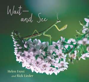 Wait and See de Helen Frost