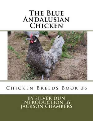 The Blue Andalusian Chicken de Silver Dun