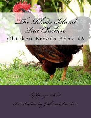 The Rhode Island Red Chicken de George Scott