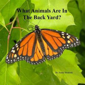 What Animals Are in the Back Yard? de Stratioti, Anne