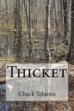 Thicket de Chuck Teixeira