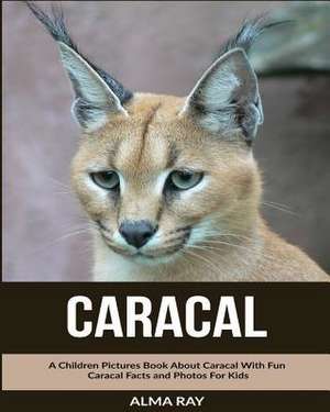 Caracal de Alma Ray