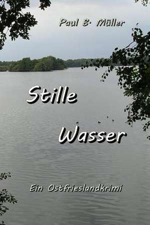 Stille Wasser de Paul B. Mueller