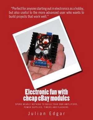 Electronic Fun with Cheap Ebay Modules de Julian Edgar