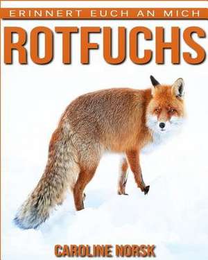 Rotfuchs de Caroline Norsk