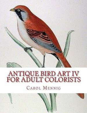 Antique Bird Art IV - For Adult Colorists de Carol Mennig