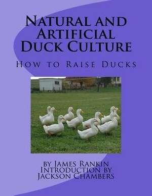 Natural and Artificial Duck Culture de James Rankin